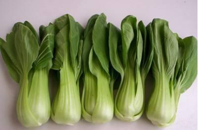 瓢兒白有哪些類型與品種 它曾是重慶及南方地區(qū)普遍栽培的蔬菜