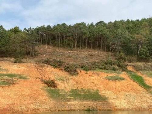 持續(xù)開展巡湖工作,共護綠水青山