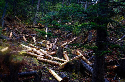 腳下地獄,心在天堂&hellip;亞丁神山轉拜心路歷程