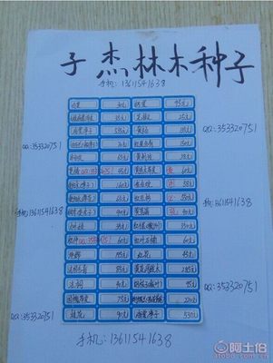 【廠家直銷各種林木種子紅豆杉國槐紅楓種子重陽木等等保質(zhì)保量】沭陽縣新河鎮(zhèn)子杰花卉園藝場 - 產(chǎn)品庫