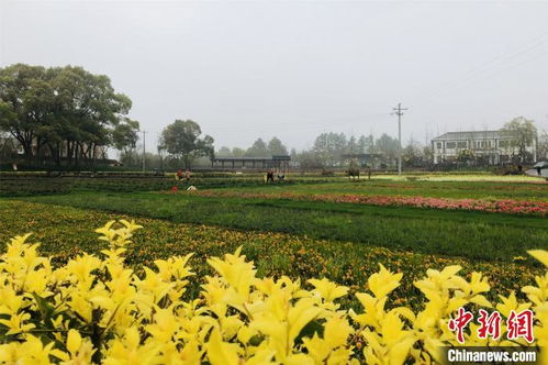 南昌培育都市休閑農業精品 去年吸引1300余萬人次到鄉村休閑度假鳳凰網江西 鳳凰網