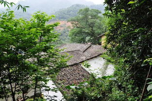 自駕還走317 這條最美省道集齊嶺南所有美景 老司機也私藏